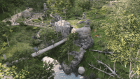 zoo vizual4